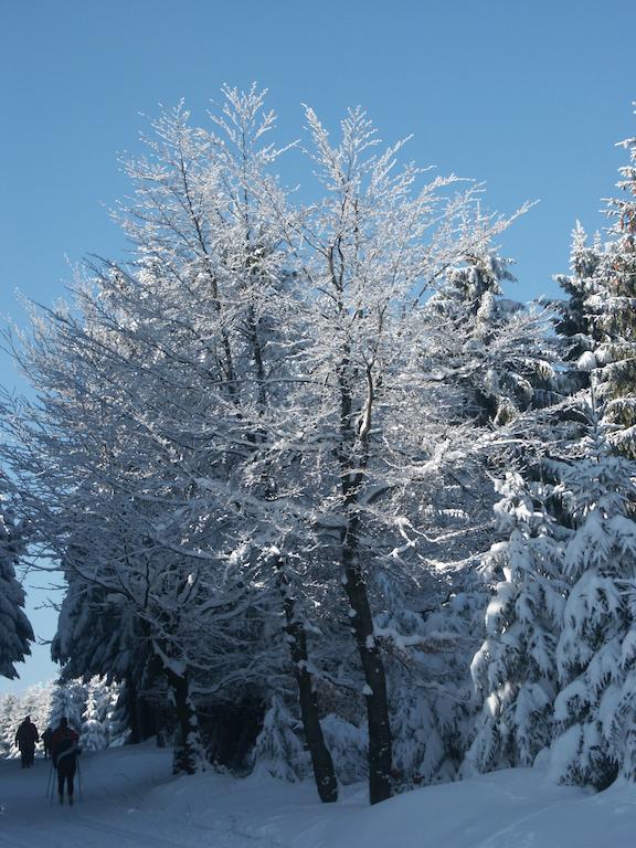 Apartament Haus Hinzberg Oberhof  Pokój zdjęcie